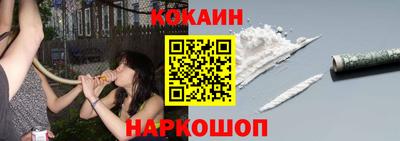 гашик Кинель