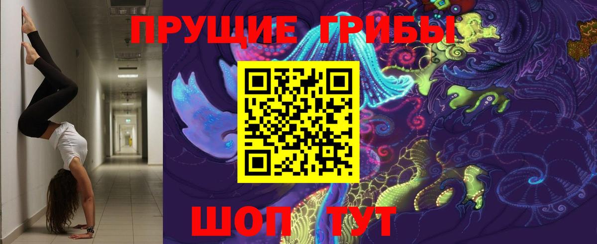 Галлюциногенные грибы прущие грибы  Псилоцибиновые грибы прущие грибы  цена   Краснодар  Вход с VPN 